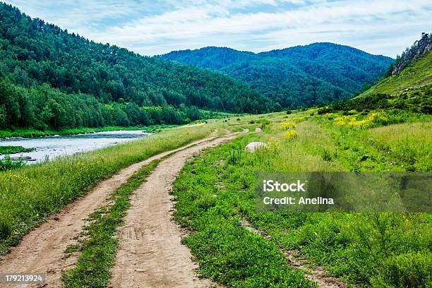 Strada Di Campagna Nella Valle - Fotografie stock e altre immagini di Agricoltura - Agricoltura, Albero, Alpi