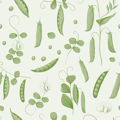 istock Green peas, soybean plants, seamless pattern vector color illustrations 1792141472