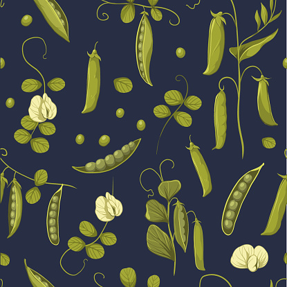 istock Green peas, soybean plants, seamless pattern vector color illustrations 1792141473