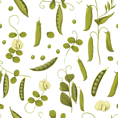 istock Green peas, soybean plants, seamless pattern vector color illustrations 1792141476