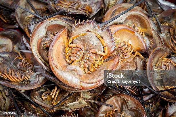 Gebratene Mangrove Horseshoe Crab Stockfoto und mehr Bilder von Aquatisches Lebewesen - Aquatisches Lebewesen, Bildhintergrund, Borste