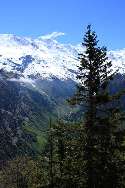 швейцария - switzerland interlaken schreckhorn mountain стоковые фото и изображения