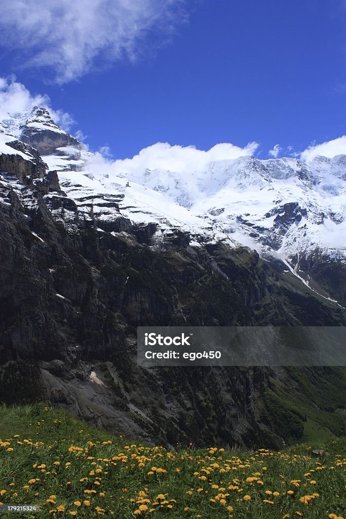 Suíça - Foto de stock de Alpes europeus royalty-free