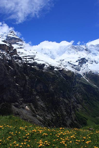 швейцария - switzerland interlaken schreckhorn mountain стоковые фото и изображения