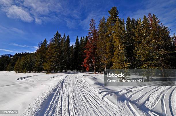 Snowmobile Trail Entlang Grautönen River Wyoming Stockfoto und mehr Bilder von Weg - Weg, Schneemobil, Größere Sehenswürdigkeit