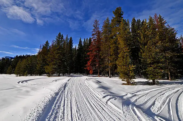 Photo of Snowmobile Trail along Greys River, Wyoming