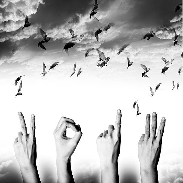 istock new year 2013 abstract with doves flying 179215475