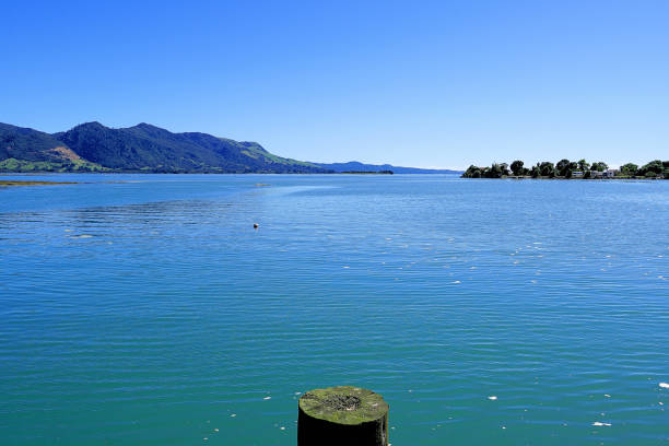 istock New Zealand South Island 1792157332