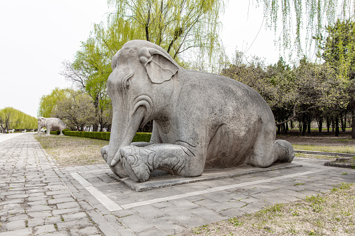 Stone elephants on both sides of the sacred road to the Ming Dynasty Ming Tombs in China