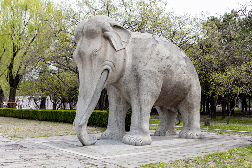 Stone elephants on both sides of the sacred road to the Ming Dynasty Ming Tombs in China