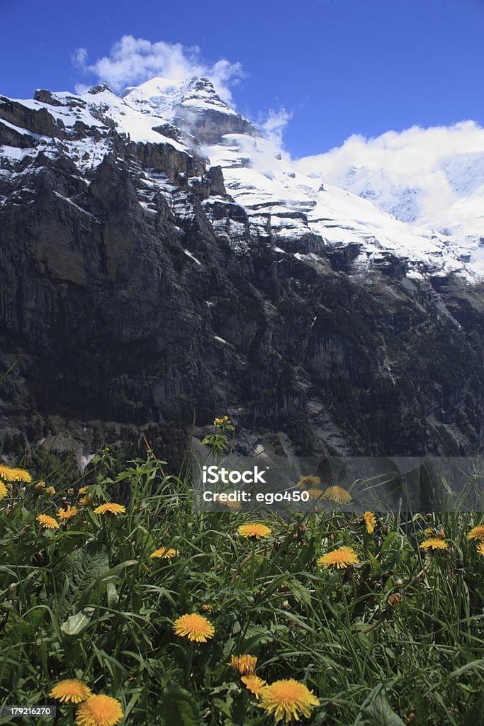 Alpes suíços - Foto de stock de Alpes europeus royalty-free