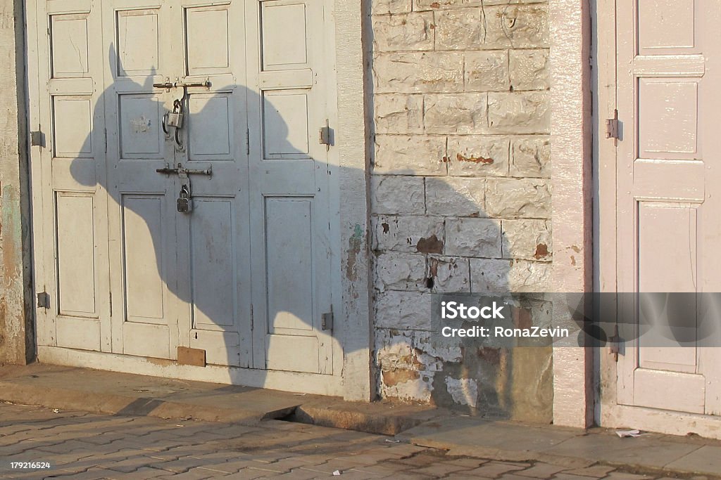 インドの牛の影 - インドのロイヤリティフリーストックフォト