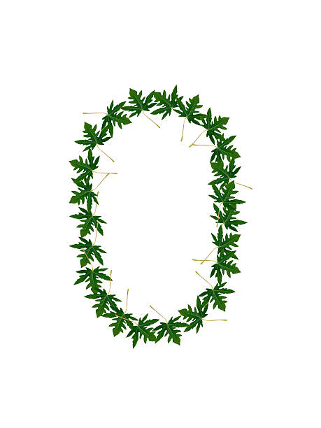 istock Number 0  of green leaves 179216623