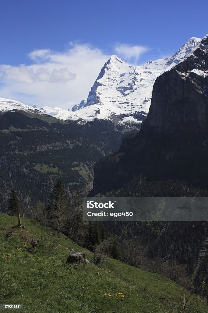 Suiza - Foto de stock de Acantilado libre de derechos