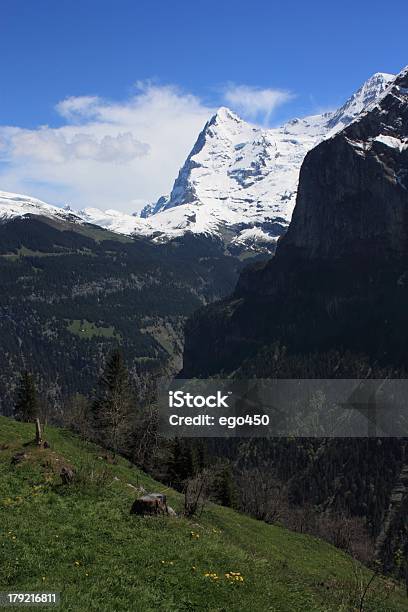 Suiza Foto de stock y más banco de imágenes de Acantilado - Acantilado, Aire libre, Alpes Europeos