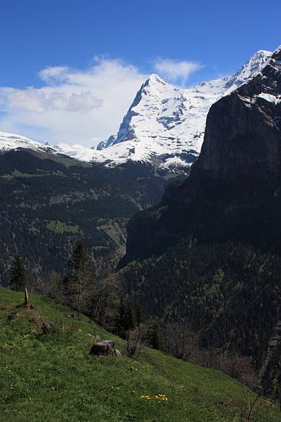 швейцария - switzerland interlaken schreckhorn mountain стоковые фото и изображения