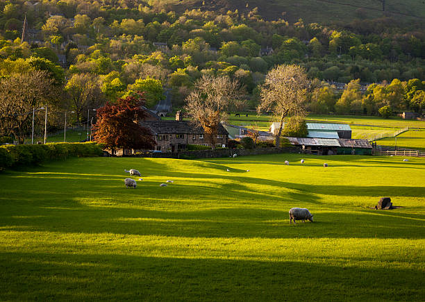 farm house pastoreo de ovejas - cheshire non urban scene scenics rural scene fotografías e imágenes de stock