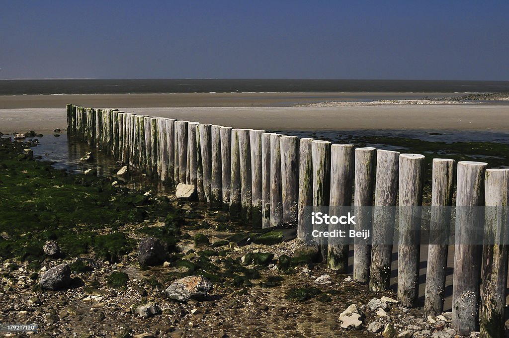 Деревянные breakers на острове Ameland Нидерланды - Стоковые фото Без людей роялти-фри