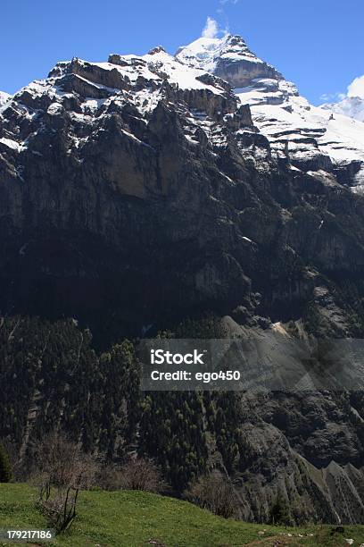 Swiss Alps Stock Photo - Download Image Now - Aster, Cliff, Eiger