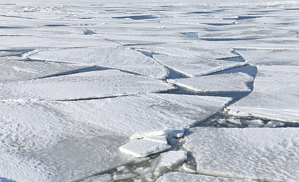 istock Blocks of ice on frozen lake. Background texture 179217817