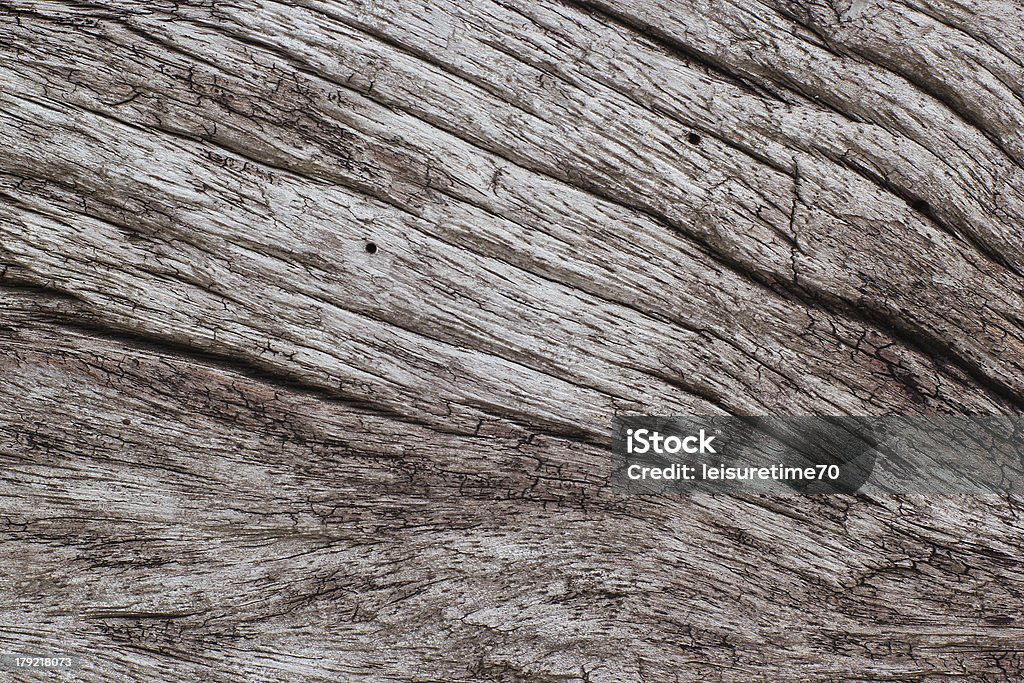 Corteccia dell'albero - Foto stock royalty-free di Albero