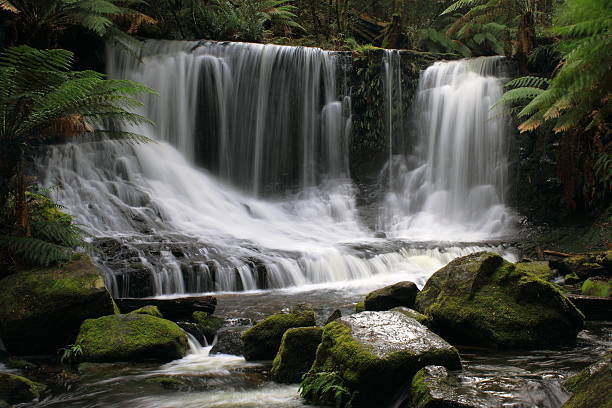 워터풀 인 마운트 필드 국립 공원, 태즈매니아 - awe beauty in nature waterfall cool 뉴스 사진 이미지