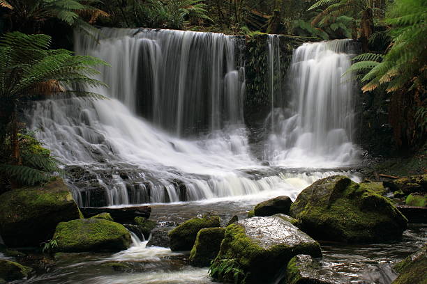 cascata no parque nacional do monte de field tasmânia - awe beauty in nature waterfall cool imagens e fotografias de stock