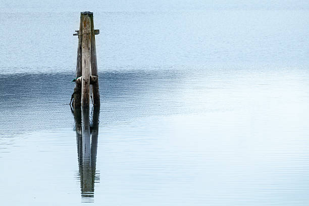 istock Old wooden mooring pole stands in calm blue water 179218418