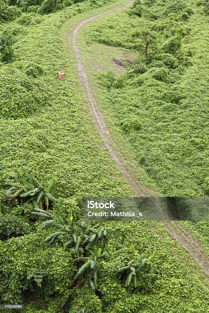 Green Road auf die Berge - Lizenzfrei Anhöhe Stock-Foto