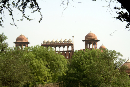 Top facade of Red Fort hidden behind greenery, New Delhi, India, Asia