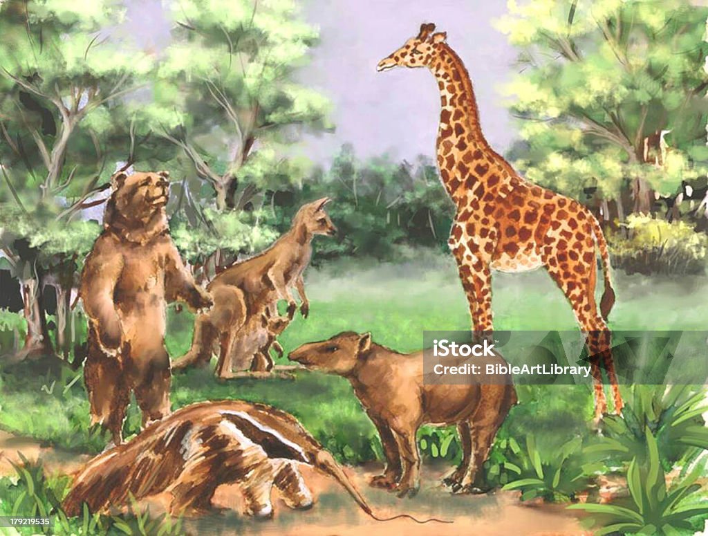 Creation Various Animals Stock Photo - Download Image Now - Creation, Origins, Illustration - iStock Creation Various Animals Stock Photo - Download Image Now - Creation, Origins, Illustration - iStock