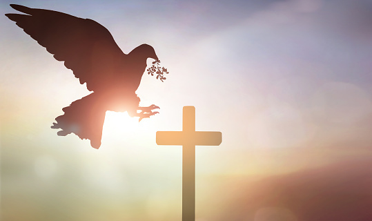 Christian Cross and silhouette of pigeon with a sunrise sky background