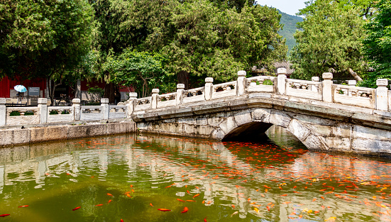 Classical style stone bridge in Chinese classical gardens