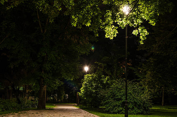 istock City park in Novi Sad 179220416