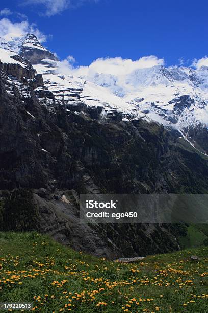 Schweizer Alpen Stockfoto und mehr Bilder von Alpen - Alpen, Anhöhe, Aster