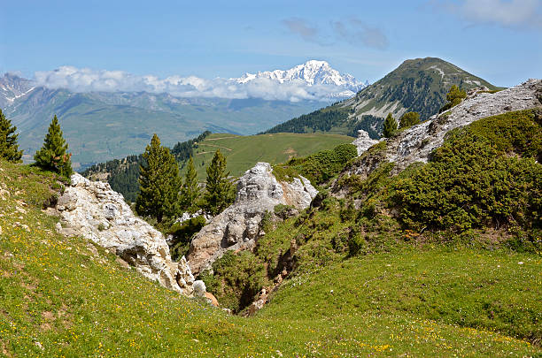 Mountains at La Plagne in France Mountains in the french Alps and snowy Mont Blanc massif in the background at La Plagne, commune in the Tarentaise Valley,Savoie department and Rhône-Alpes region, in France la plagne photos stock pictures, royalty-free photos & images