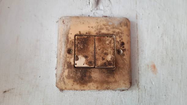 istock Close-up photo of a dirty and moldy light switch. Selective focus. Concept electronics 1792212006