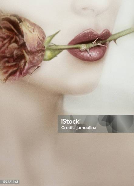 Beautiful Woman With Rose Twig Between Her Red Seductive Lips Stock Photo - Download Image Now