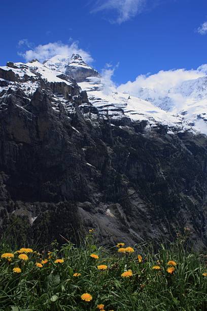 suiza - switzerland interlaken schreckhorn mountain fotografías e imágenes de stock