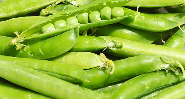 istock Fresh green peas in the pods 179222049