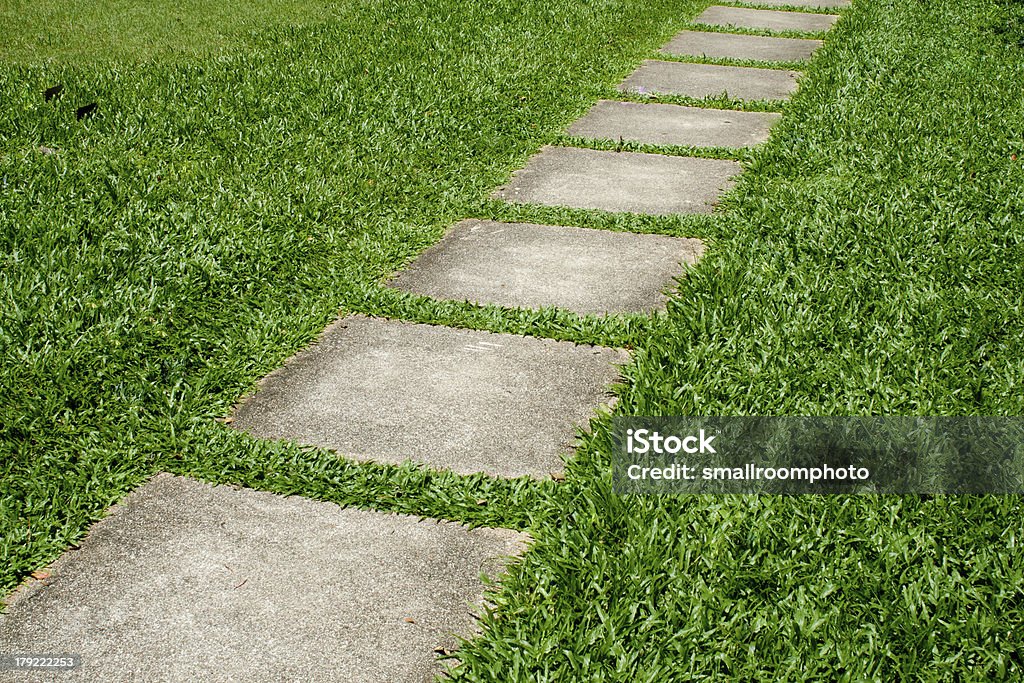 stone way stone way in green grass. Asphalt Stock Photo