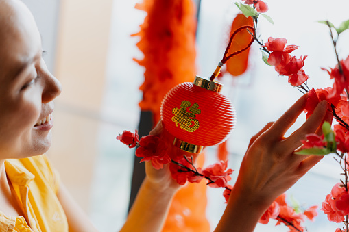 An Asian Chinese woman hanging lantern decoration on plum flower tree and getting ready for Chinese New Year family reunion