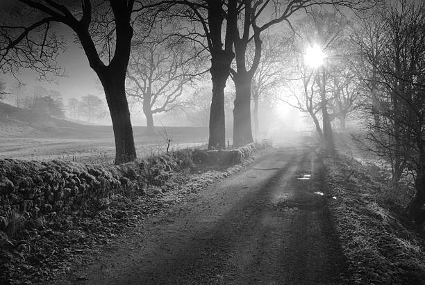 istock Autumn at Wycollar 179222445