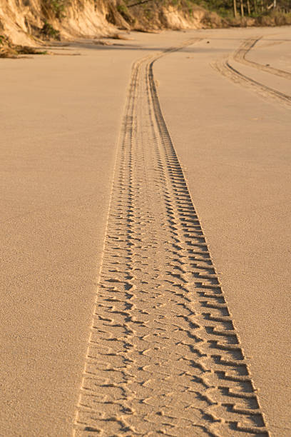 istock Tyre Tracks on Beach Sand 179222727