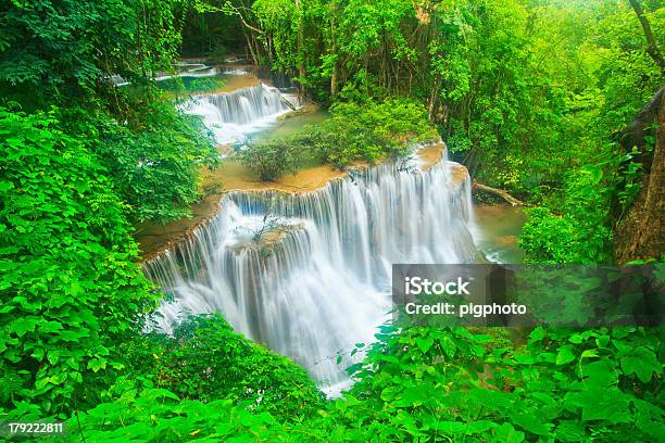 Bella Cascata Nella Foresta - Fotografie stock e altre immagini di Acqua - Acqua, Acqua fluente, Albero