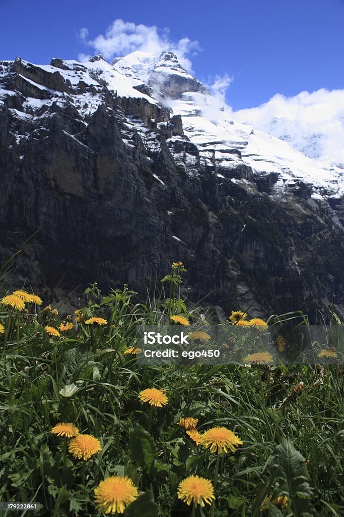 A Suíça - Royalty-free Ajardinado Foto de stock