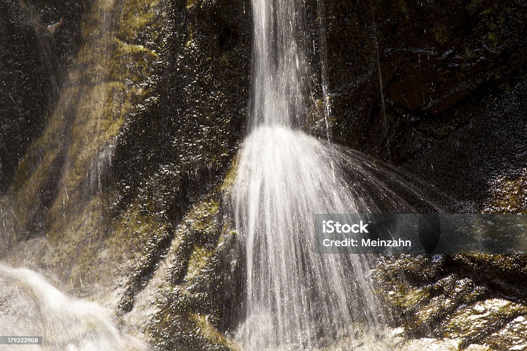 Naturalne Wodospad w Parku Narodowym - Zbiór zdjęć royalty-free (Appalachy)