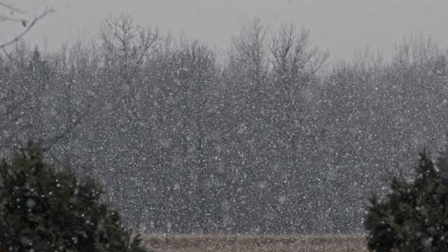 Fluffy snowflakes falling in slow motion