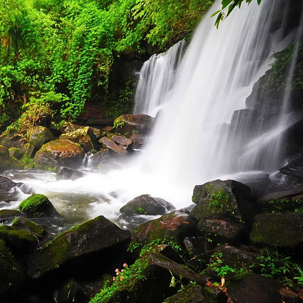 istock Romklao-Paradorn Waterfall 179223054