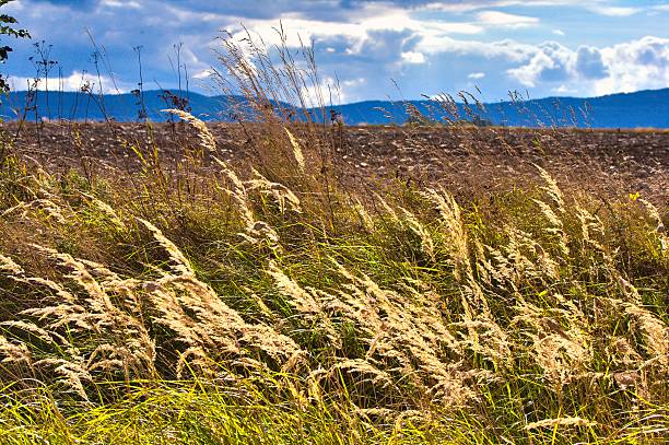 istock Krkonooze Mountains, Poland 179223417